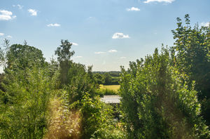 Photo 2- click for photo gallery